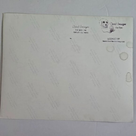 Grateful Dead Licensed Concert Photo By Rob Cohn Dead Images 1990s Live Band Per - Picture 8 of 15